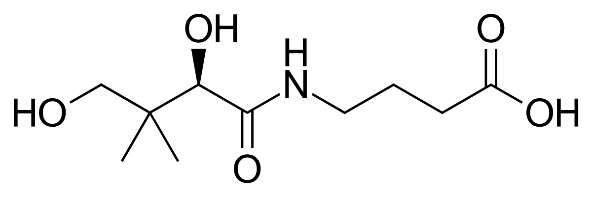 Hopantenic Acid